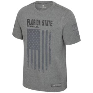 Colosseum Men's OHT Florida State Seminoles Flag Design Short Sleeve T-shirt - Heather Grey